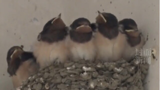 صورة العائلة كلها لطيفة جداً! حتى الحيوانات تعرف أن "الأصدقاء الزرق" يمنحون الشعور بالأمان، فقد استق