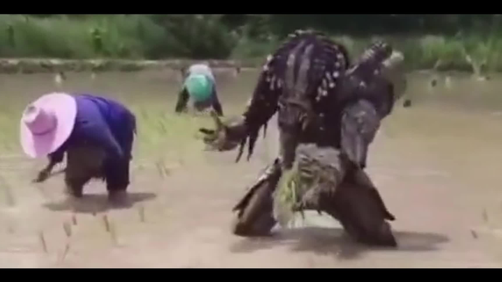 “Movies originate from life, yet rise far, far, far, far, far, far, far above it.”