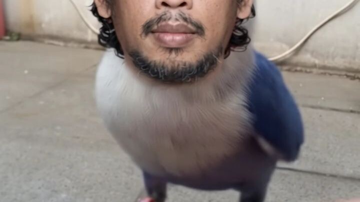 gsjdbgej