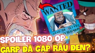 SPOILER 1080 OP | GARP ĐÃ ĐẾN NƠI Ở CỦA RÂU ĐEN?!