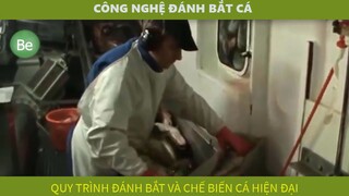 be4-4 - công nghệ đánh bắt - chế biến cá hiện đại