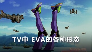 TV版 - EVA的各种形态