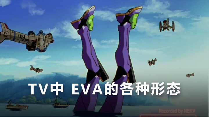 เวอร์ชั่นทีวี-EVA รูปแบบต่างๆ