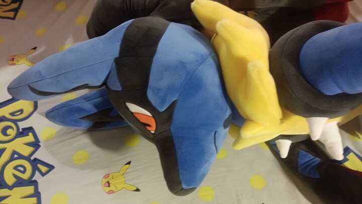 The life-size Pokémon Mega Lucario plush doll is displayed compared to the size of Zera Orado