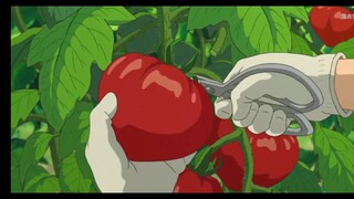 夏日必看动漫电影 你看过几部？ 夏日气息满满！！！！