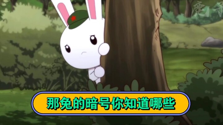 那兔的暗号你都能对答如流吗