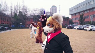 【Fursuit Dance】"StarMan!!!" Support Version