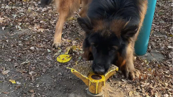 “ผู้ที่ผูกกระดิ่งก็ต้องเป็นผู้ปลดมันออก”