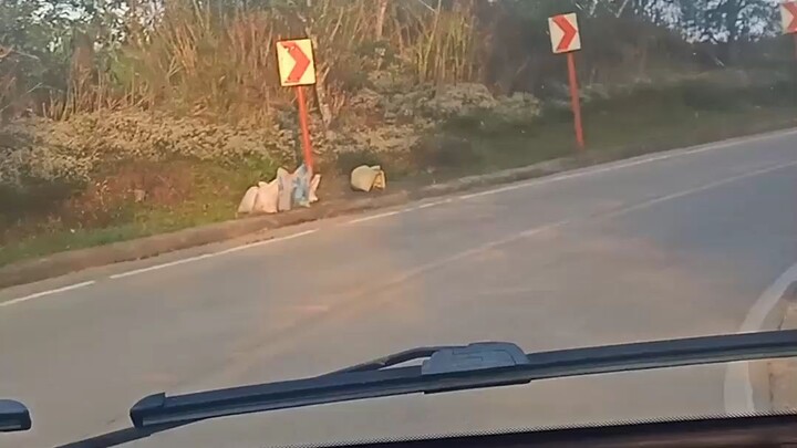 dance monkey with nice view in malico pangasinan