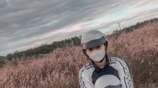 chị em cây khế