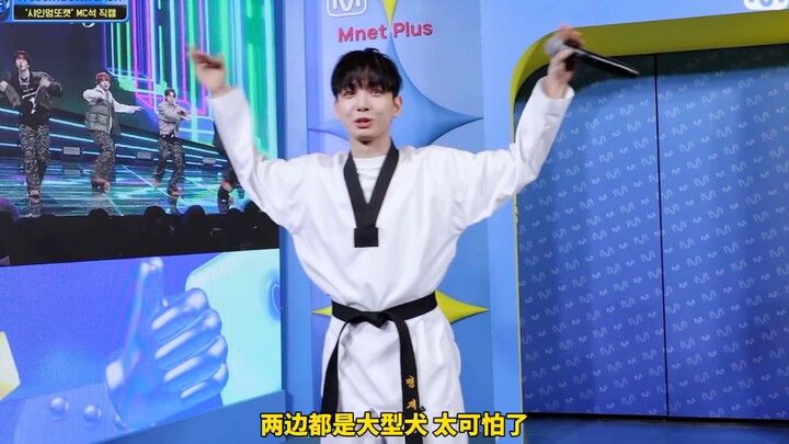 ตกใจหมาใหญ่สองตัวด้วยการเตะบอล