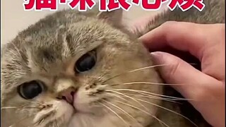 逆子、一身的反骨