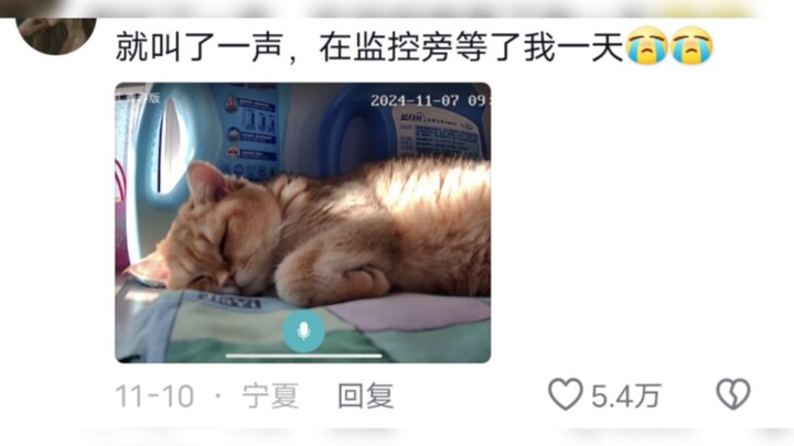 I Finally Get Why Kids Can Keep Their Moms Hooked!