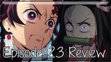 The Desire to Protect - Demon Slayer: Kimetsu no Yaiba Episode 23 Review