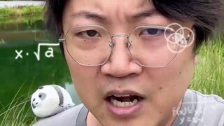 Why do I feel more disappointed the more I watch domestic animation?