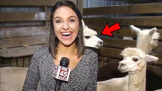 Funniest Animals News Bloopers