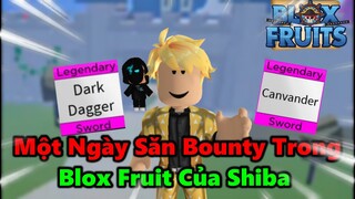 Roblox- Một Ngày Săn Bounty Của Shiba Trong Blox Fruits