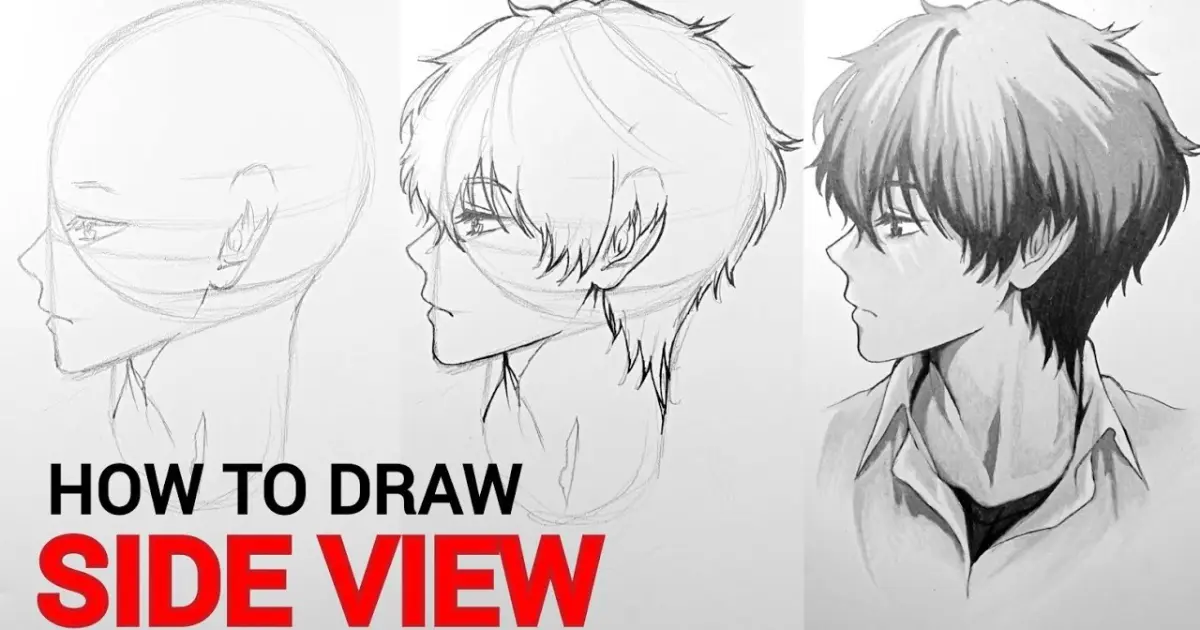 5 STEPS How to Draw Anime Face SIDE VIEW - Step by Step Tutorial - Bilibili