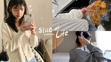 Slice of Life: Final Exam Study Vlog, Healthy Habits, Self Care, Groceries & Chaotic Siblings...
