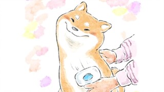 有猫治百病 有狗解千愁