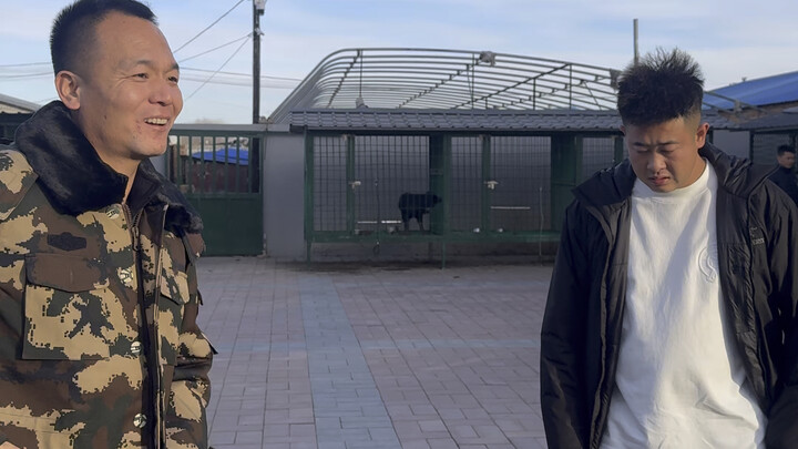 #PanHongSukaMainAnjing