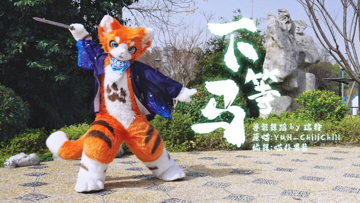 【Tarian kostum binatang】 Jangan remehkan hanya karena dia kuda kelas bawah, lihatlah tendangan berpu