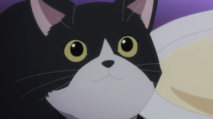 【paradoxlive】The cats and cats of the evil cat group