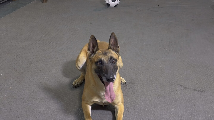 กรรมการคุมสอบทุกท่าน โปรดให้คะแนนด้วยครับ/ค่ะ