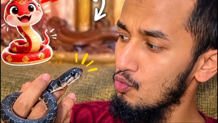ছোট্ট একটি সাপের বাচ্চার সাথে কিছু মুহূর্ত! 🐍 ভিডিওটি কেমন লাগলো? ❤️"