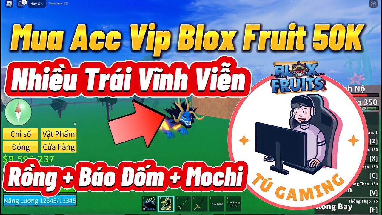 Roblox  Nhập 2 CODE Blox Fruit Mới Nhất 2x Exp Thời Điểm Hiện Tại Vẫn Còn  Nhập Được. - BiliBili