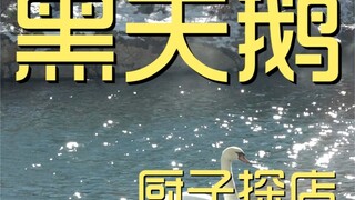 ร้านเชฟ Black Swan เสียเงิน 245 เยนเหรอ?