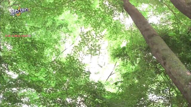 EP.01 THE SIXTH SENSE S2 SUB INDO