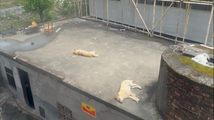 Khi các bạn làm việc thì tôi không thấy, nhưng lúc các bạn lười biếng thì tôi lại thấy rõ đấy.