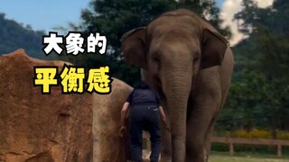 Those clever animals!