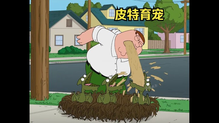 ปีเตอร์เลี้ยงสัตว์