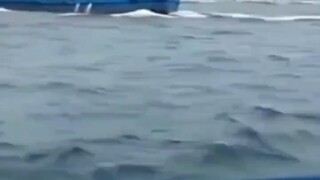 中国渔民撞沉日本军舰