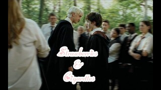 [Drarry] Strawberries & Cigarettes (Vietsub)