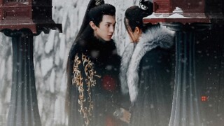 可是我真的狠想看，谁来殉我……