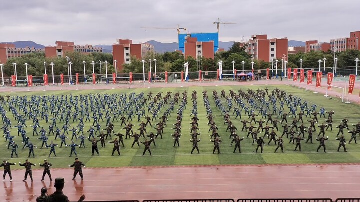 Bạn cho Landa một cây giống tốt, Landa sẽ trả lại cho bạn một cây bập bênh tốt!