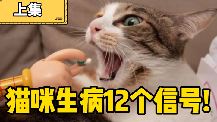 🐱 สัญญาณขอความช่วยเหลือจากแมว⚠️ 12 สัญญาณก่อนป่วย❗️