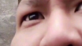 funny videos