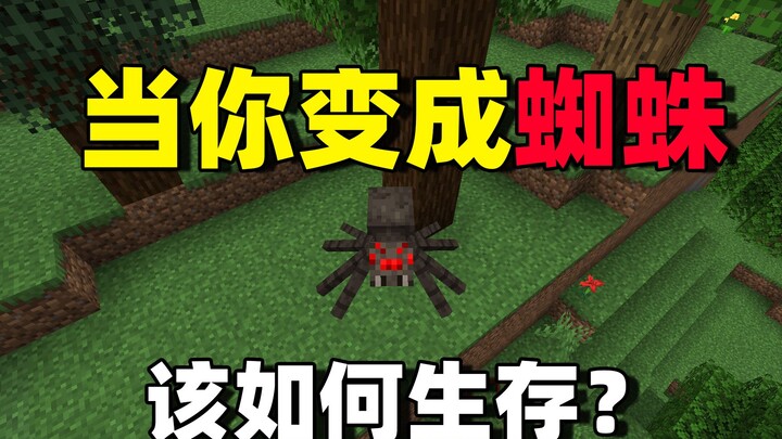 How do you survive when you turn into a spider? # Minecraft Fun Survival