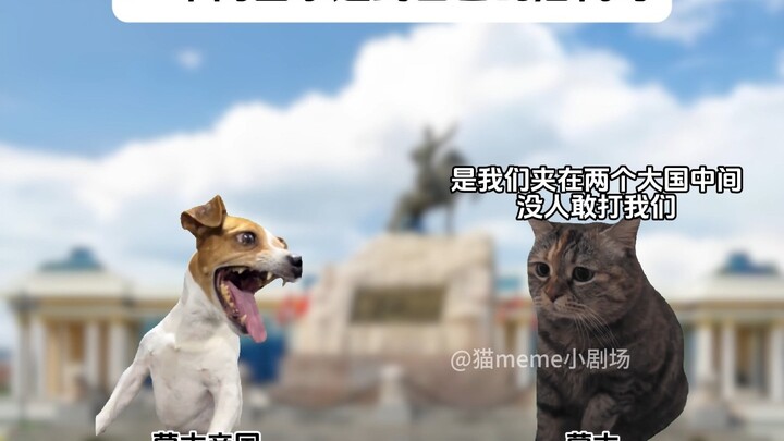 Khi các quốc gia khác nhau gặp gỡ thế hệ con cháu của mình