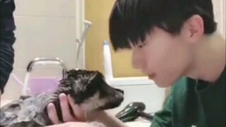 [Mã Gia Kỳ] Hai anh em lại giúp Lưu Cẩn tắm rửa. Đổi tên chúng ta thành Sài Náo Đằng đi.