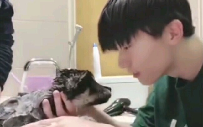 [Ma Jiaqi] The two brothers helped Liu Jin take a bath again. Let's change our name to Chai Nao Teng