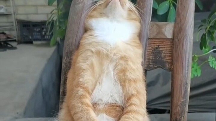 Hakimi: This is my life of glitz and glamour.