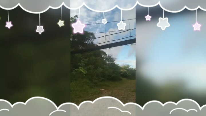 The bridge