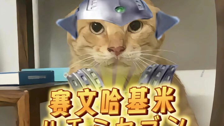 🐱赛文哈基米🐱《⚡奥特曼波(ウルトラマンボ)⚡》