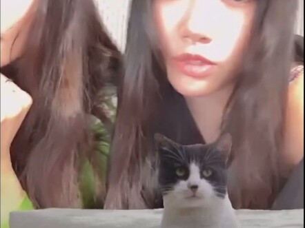 中字meovv1124直播 孩子们正是爱抽象的年纪