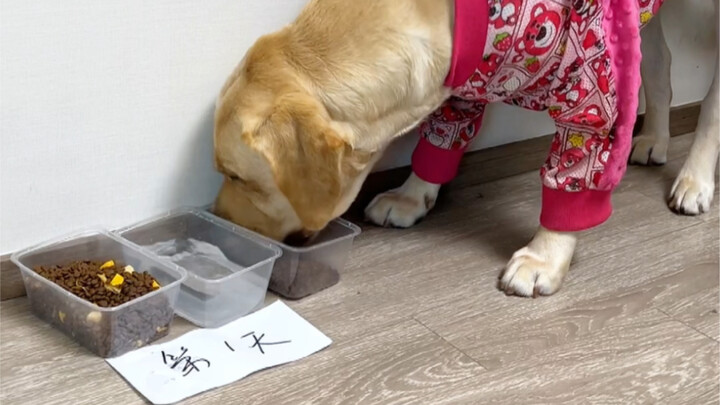 Libur panjang jalan-jalan tujuh hari, makan satu mangkuk sekali, pagi dan malam masing-masing sekali